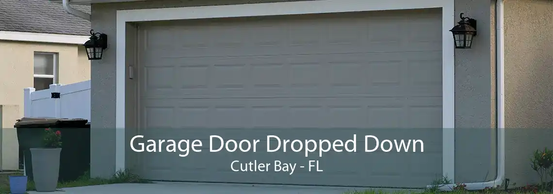 Garage Door Dropped Down Cutler Bay - FL