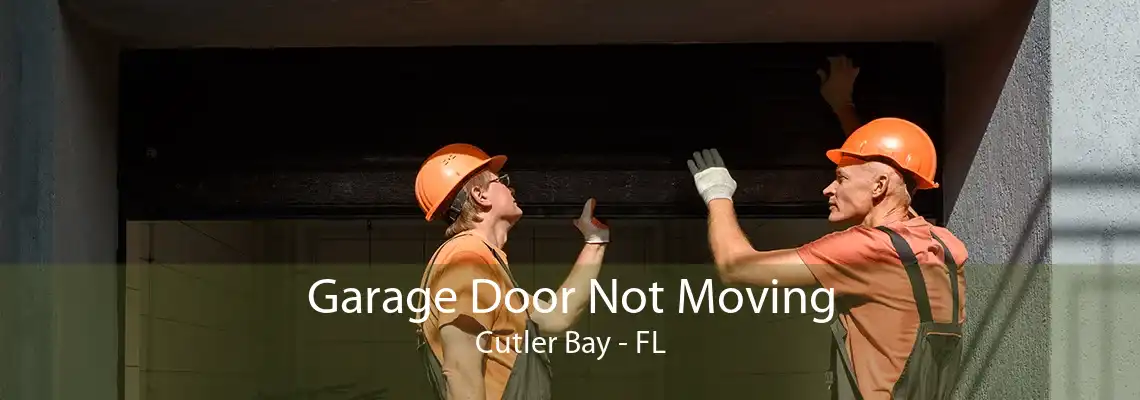 Garage Door Not Moving Cutler Bay - FL