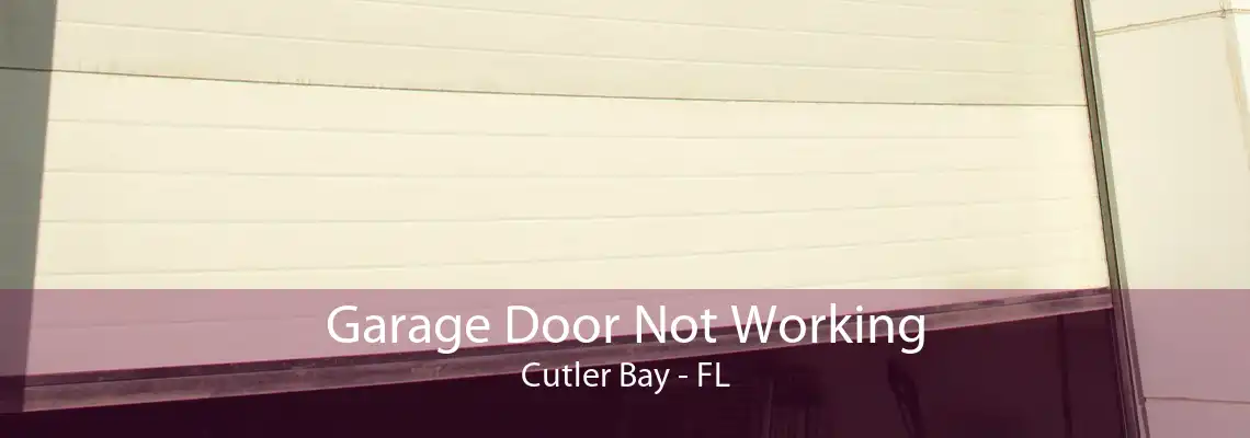 Garage Door Not Working Cutler Bay - FL