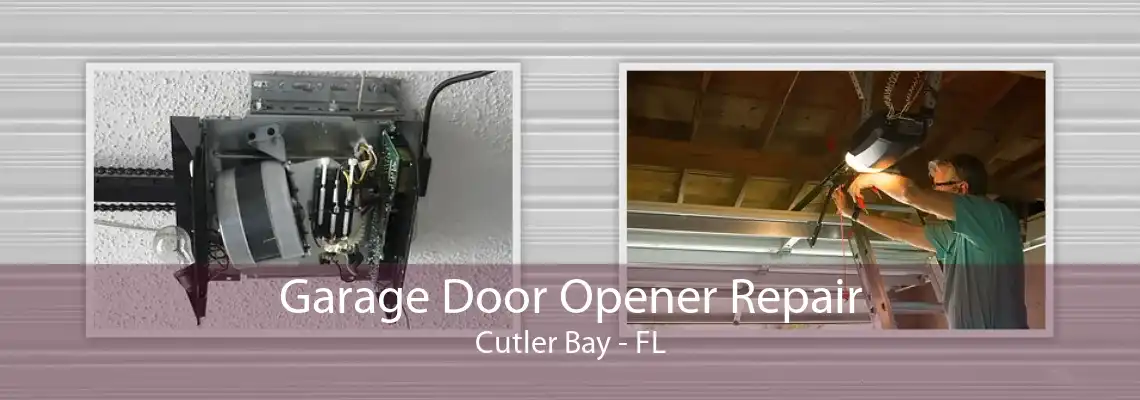 Garage Door Opener Repair Cutler Bay - FL