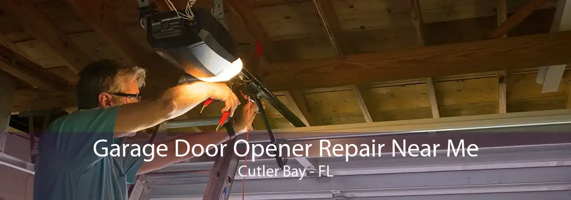 Garage Door Opener Repair Near Me Cutler Bay - FL