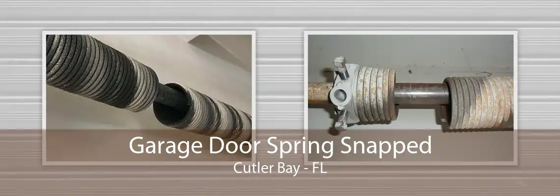 Garage Door Spring Snapped Cutler Bay - FL