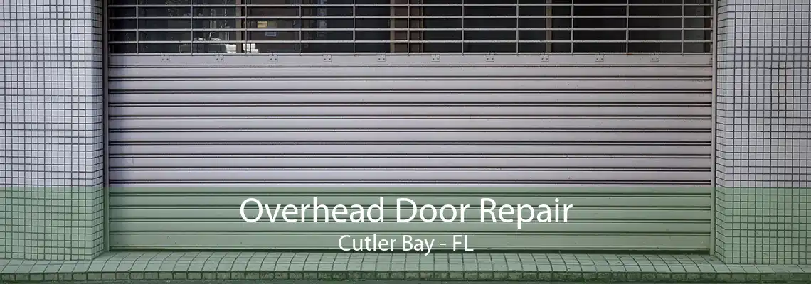Overhead Door Repair Cutler Bay - FL